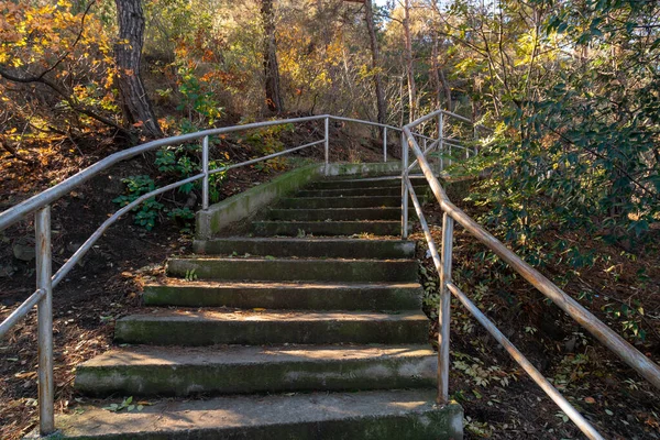 The path leading to Tatsminda park, autumn — Stock Photo, Image