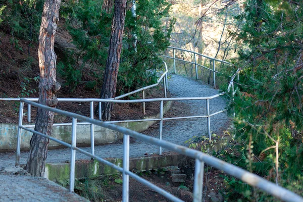 タットスミンダ公園への道 秋の時間 トビリシ — ストック写真