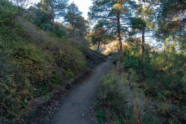 Path Leading Tatsminda Park Autumn Time Tbilisi — Stock Photo, Image