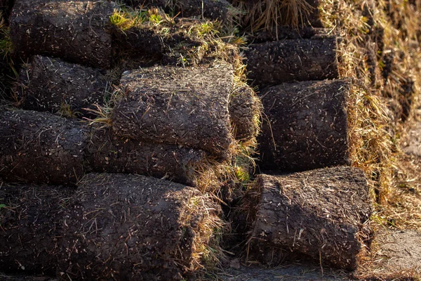 Rollos Césped Apilados Juntos Parcela Césped Los Rollos Naturaleza —  Fotos de Stock