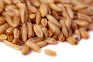 Beyaz arkaplanda izole edilmiş bir yığın yulaf tohumu