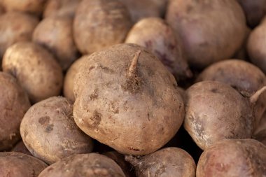 Kamu pazarında pancar kökü yakın çekim. Sebze