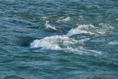 Sudaki taşlar, güneşli bir günde dağ nehri. Doğa