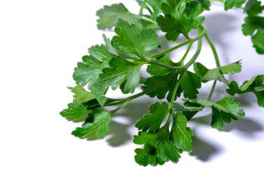 Taze yeşil maydanoz beyaz arkaplanda izole