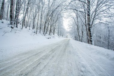 Sabaduri Ormanı yolu karla kaplı. Kış zamanı. Peyzaj