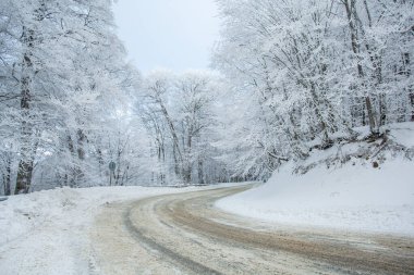 Sabaduri Ormanı yolu karla kaplı. Kış zamanı. Peyzaj
