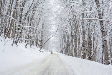 Sabaduri Ormanı yolu karla kaplı. Kış zamanı. Peyzaj