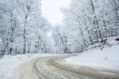 Sabaduri Ormanı yolu karla kaplı. Kış zamanı. Peyzaj