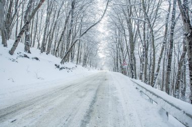 Sabaduri Ormanı yolu karla kaplı. Kış zamanı. Peyzaj