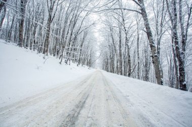 Sabaduri Ormanı yolu karla kaplı. Kış zamanı. Peyzaj