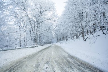 Sabaduri Ormanı yolu karla kaplı. Kış zamanı. Peyzaj