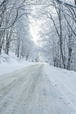 Sabaduri Ormanı yolu karla kaplı. Kış zamanı. Peyzaj