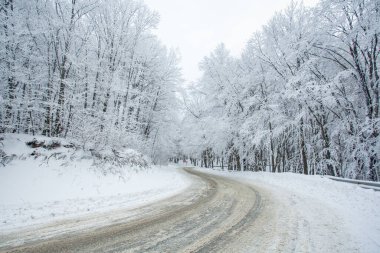 Sabaduri Ormanı yolu karla kaplı. Kış zamanı. Peyzaj