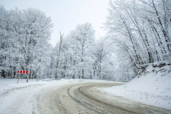 Sabaduri Ormanı yolu karla kaplı. Kış zamanı. Peyzaj