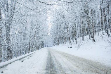 Sabaduri Ormanı yolu karla kaplı. Kış zamanı. Peyzaj