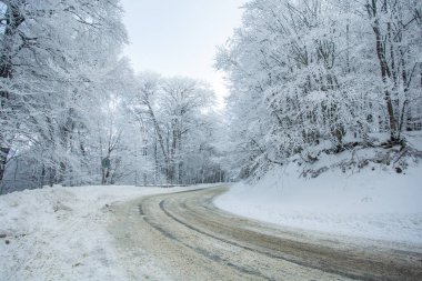 Sabaduri Ormanı yolu karla kaplı. Kış zamanı. Peyzaj