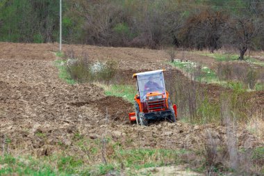 Küçük bir traktör tohum ekmek için toprağı işliyor. Tarım