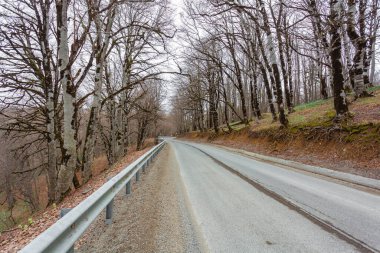 Baharda Sabaduri Ormanı, Tiflis 'in kuzeyinde güzel bir yer. Peyzaj