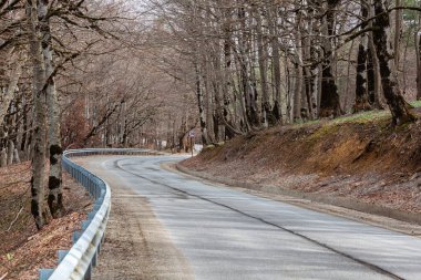 Baharda Sabaduri Ormanı, Tiflis 'in kuzeyinde güzel bir yer. Peyzaj