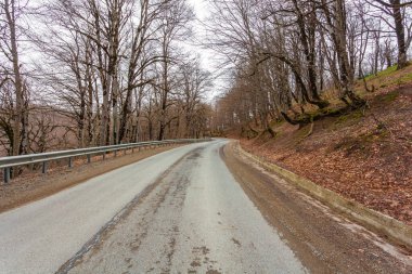 Baharda Sabaduri Ormanı, Tiflis 'in kuzeyinde güzel bir yer.