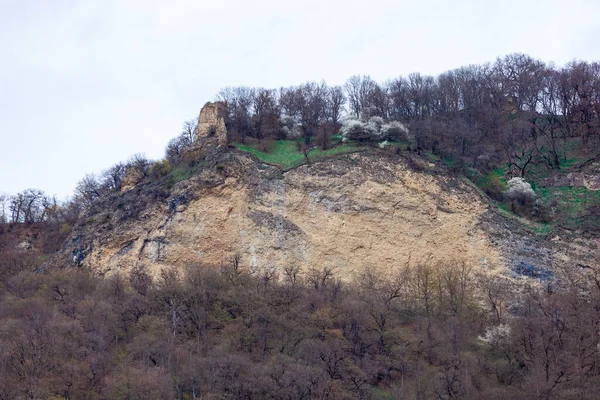 Famous Bochorma Castle Town Ruins Caucasus Mountain Georgia History — Stock Photo, Image