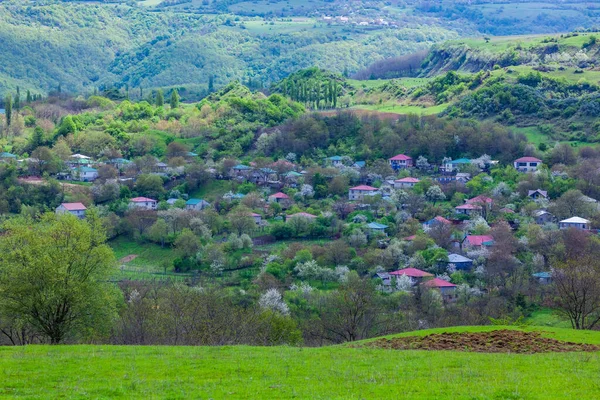 Prachtig Uitzicht Een Klein Bergdorpje Imereti Georgia Landschap — Stockfoto