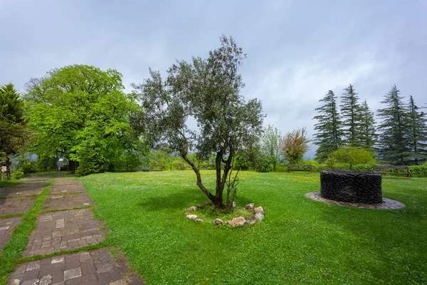 Georgia 'daki antik Martvili manastırının güzel avlusu. seyahat