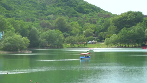 Tiflis, Georgia - 23 de mayo de 2021: Lago Tortuga Tiflis — Vídeo de stock