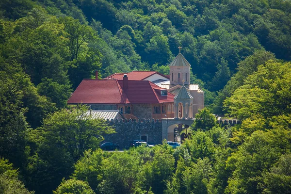 Ortodox Templom Sabaduri Erdő Gyönyörű Táj Grúzia — Stock Fotó