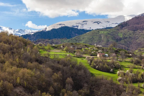 Hermosa Vista Del Pueblo Montaña Upper Svaneti Georgia —  Fotos de Stock