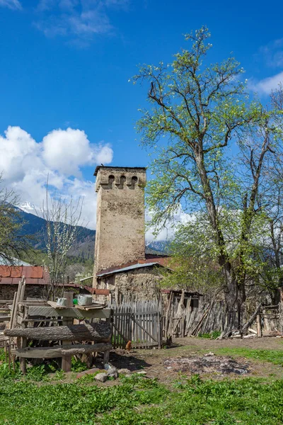 Traditionele Oude Svan Towers Latali Dorp Svaneti Kaukasus Reizen Georgië — Stockfoto