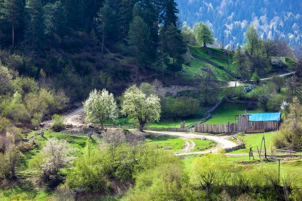 Belle vue sur le village de montagne en Haute-Svaneti — Photo