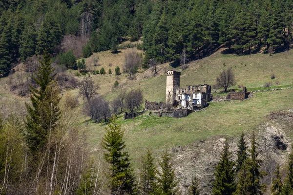 Tradicionales Torres Svan Antiguas Alto Svaneti Cáucaso Viajar Georgia — Foto de Stock