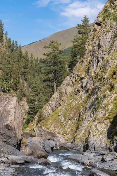 Rivière Montagne Parmi Les Rochers Tusheti Voyage Travers Géorgie Caucase — Photo