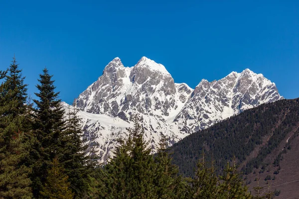 View Mount Ushba Ushba One Most Notable Peaks Caucasus Range — Stock Photo, Image