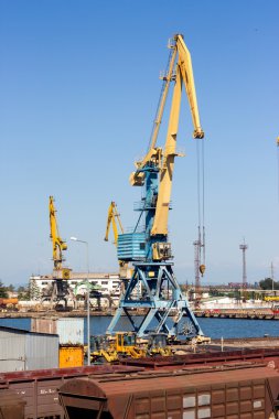 Limanda çalışma Crane