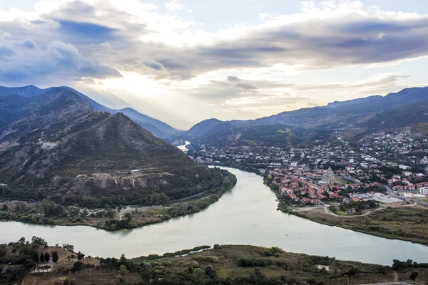 Ramo di ginepro verde con decorazioneMtskheta, georgia — Foto Stock