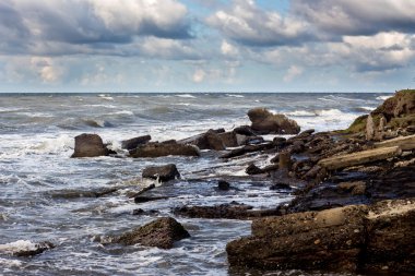 Poti, Gürcistan'daki karadeniz
