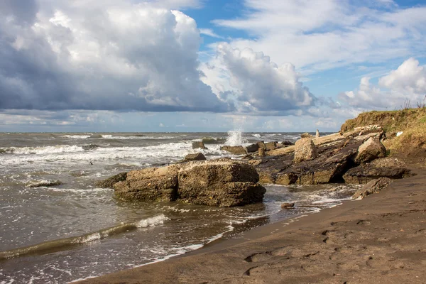 Costa del Mar Nero a Poti, Georgia — Foto Stock