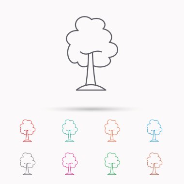 Akçaağaç ağaç simgesi. Orman ahşap işareti.