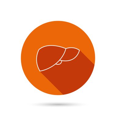 Karaciğer simgesi. Nakli organ işareti.