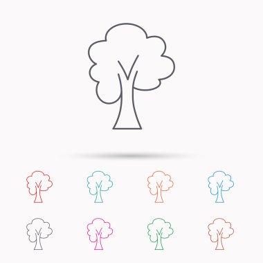 Akçaağaç ağaç simgesi. Orman ahşap işareti.