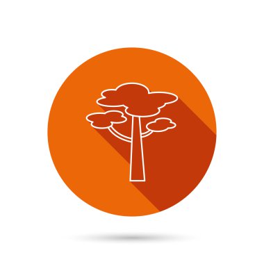 Çam ağacı simgesi. Orman ahşap işareti.