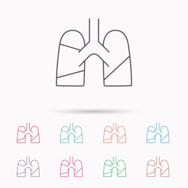 Akciğerler simgesi. Nakli organ işareti.