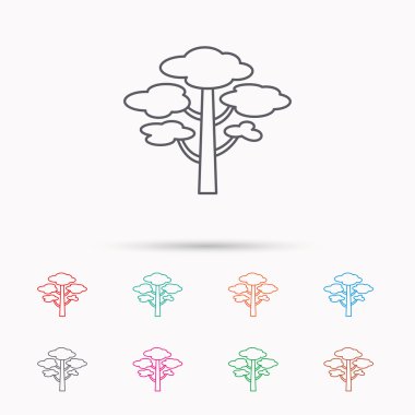 Çam ağacı simgesi. Orman ahşap işareti.