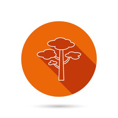 Çam ağacı simgesi. Orman ahşap işareti.