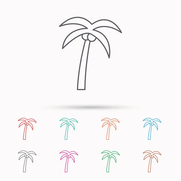 Palm tree icon. Travel or vacation symbol. — Stock Vector