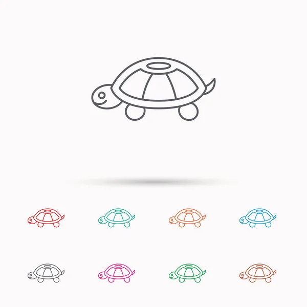 Turtle icon. Tortoise sign. — Stock Vector