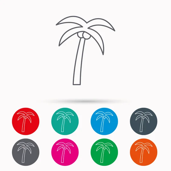 Palm tree icon. Travel or vacation symbol. — Stock Vector