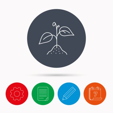 Yaprakları simgesiyle bitki. Tarım işareti.